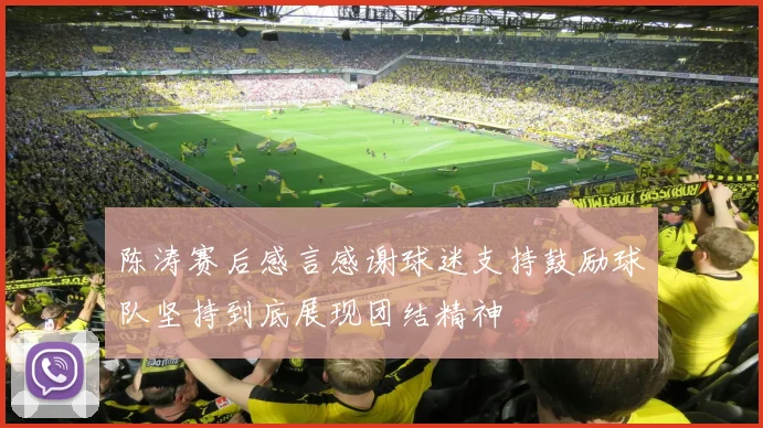 陈涛赛后感言感谢球迷支持鼓励球队坚持到底展现团结精神